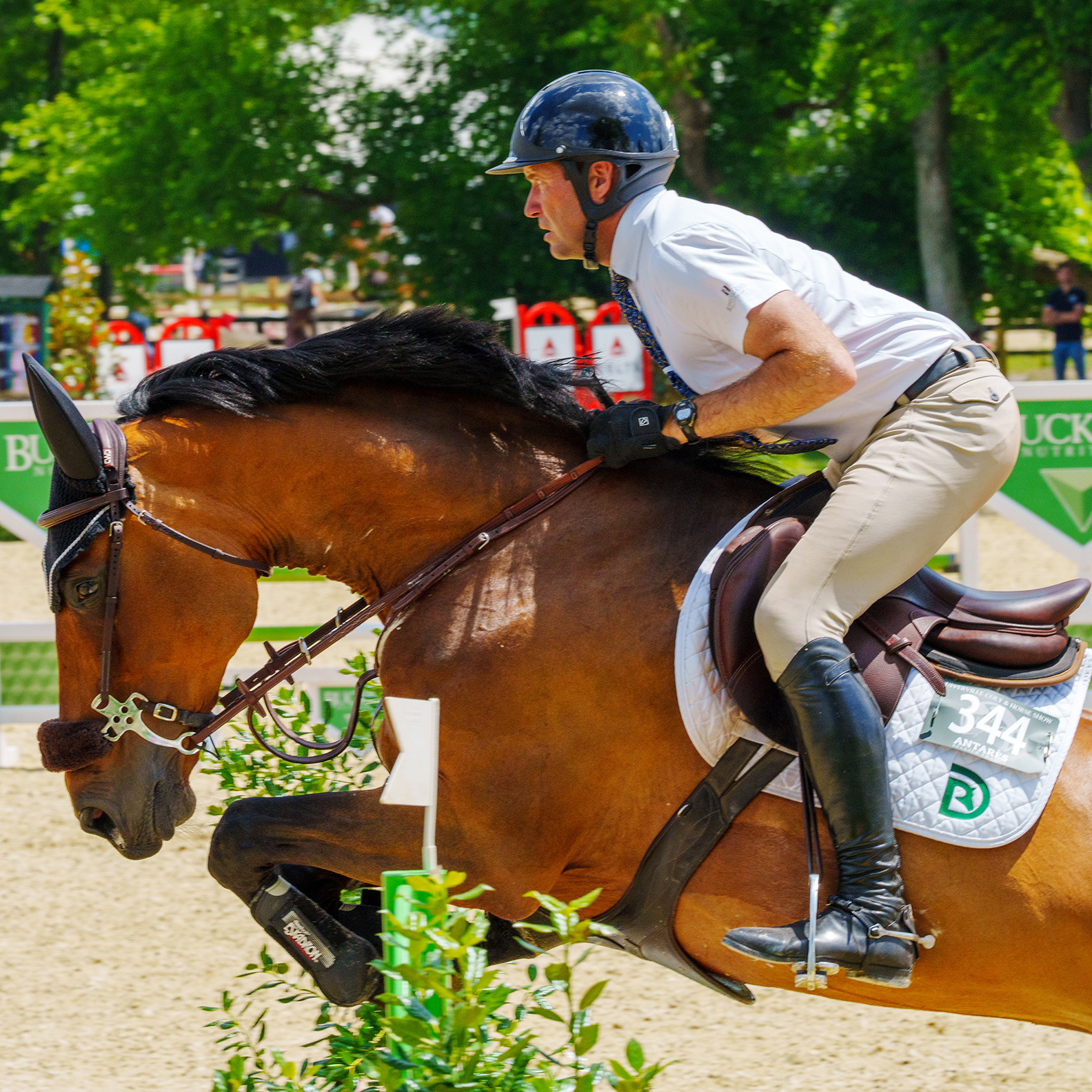 Upperville Colt & Horse Show 2024